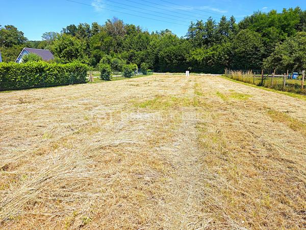 À Émancé, à proximité de Rambouillet, découvrez ce très beau terrain à bâtir de 600 m², Situé dans un environnement calme, verdoyant et particulièrement agréable, ce terrain offre un cadre de vie rare, sans vis-à-vis clos d'un côté.. Dès la première visite, on apprécie son atmosphère paisible, son exposition lumineuse plein sud et son environnement naturel préservé sans vis-à-vis. Plat, bien proportionné et facile à aménager, ce terrain permet de se projeter rapidement dans un projet de construction clair et cohérent. Il ne présente pas d’arbre à abattre ni de démolition à prévoir pour réaliser votre construction, terrain propre : il ne reste plus qu’à imaginer et finaliser la maison qui correspondra à votre mode de vie. Classé en zone UBh du Plan Local d’Urbanisme, il bénéficie d’un règlement d’urbanisme particulièrement favorable et peu contraignant. L’emprise au sol autorisée et de 120 m², et de 240 m² de surface planche, offrant de belles possibilités pour une maison de plain-pied, une habitation avec combles aménageables ou une construction en R+1.

Ce terrain profite également d’une très belle exposition, avec une orientation favorable plein sud, idéale pour concevoir une maison lumineuse, agréable à vivre et ouverte sur ses futurs espaces extérieurs. Autre avantage important : le terrain est libre de tout constructeur et n’est pas situé en secteur Bâtiments de France. Vous conservez ainsi une vraie liberté dans le choix de votre constructeur, de votre architecture et de votre projet. L’eau et le tout-à-l’égout sont déjà présents sur le terrain. Les raccordements à l’électricité et à la fibre haut débit seront à prévoir et resteront à la charge de l’acquéreur.

Une belle opportunité pour construire une maison confortable, lumineuse et fonctionnelle, dans un environnement recherché à proximité de Rambouillet.
Pour tout renseignement complémentaire ou pour organiser une visite, contactez-moi. Ce terrain mérite d’être découvert sur place afin d’en apprécier pleinement le calme,