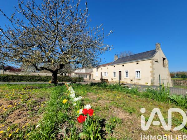 Maison à vendre 6 pièces 90 m² Lys-Haut-Layon
