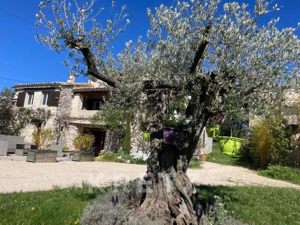 Mas provençal rénové