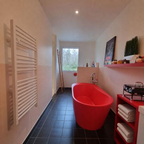 Maison contemporaine avec piscine au coeur d'un quartier prisé , Saint-sébastien-sur-loire