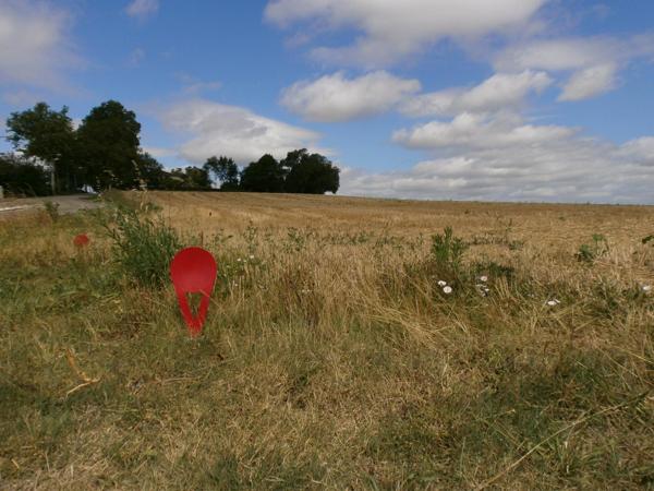 Grand Terrain de 3765 m² environ en position dominante.Vue exceptionnelle.