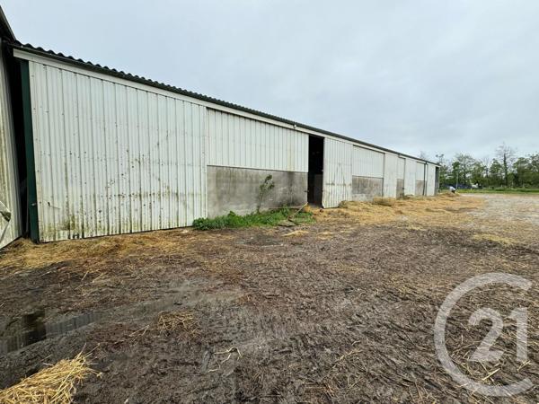 Maison à vendre  9 pièces - 354,49 m2 BEAUSSAIS SUR MER - 22