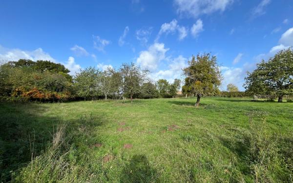 Maison à vendre    4 pièces •  Semallé