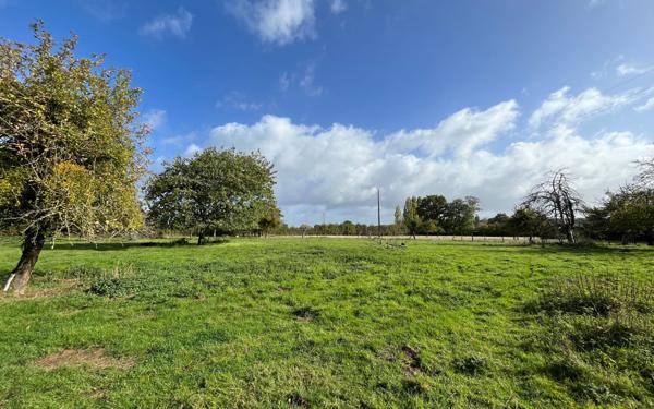 Maison à vendre    4 pièces •  Semallé