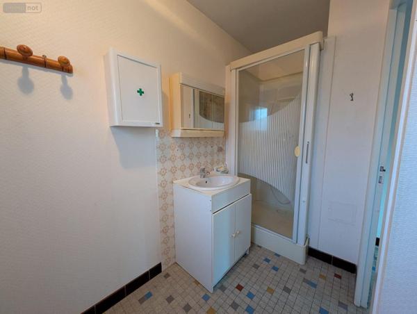 Maison individuelle à vendre à Le Lude dans la Sarthe (72800), ref : 13861/1653