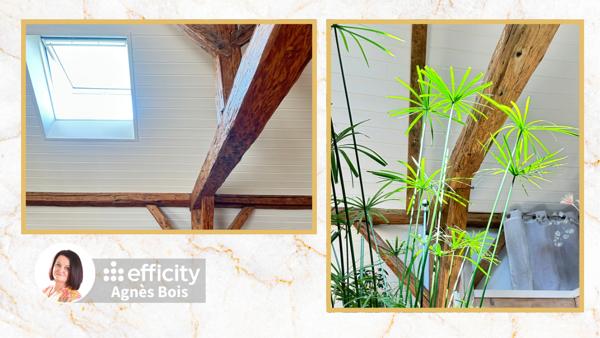 Maison 7 pièces - 297 m² Exclusivité efficity