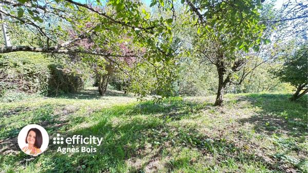 Maison 7 pièces - 297 m² Exclusivité efficity