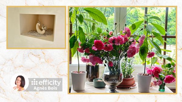 Maison 7 pièces - 297 m² Exclusivité efficity