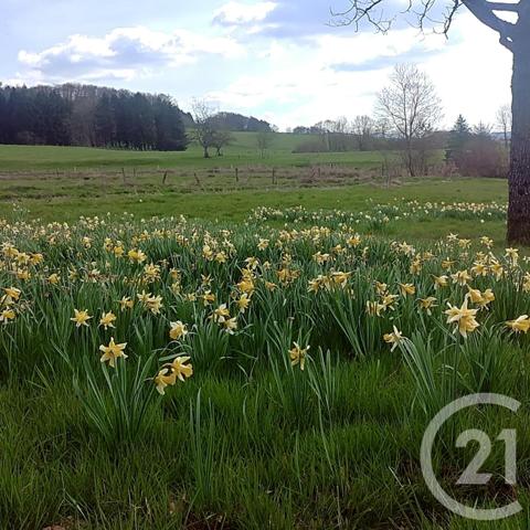 Maison à vendre  6 pièces - 200 m2 CHARMOIS DEVANT BRUYERES - 88