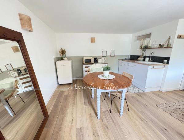 Maison à vendre 7 pièces SAINT GILLES CROIX DE VIE (85), Maison 4 chambres, 2 studios, un atelier, jardin, stationnement