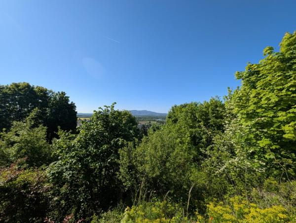 Vente / Terrain constructible