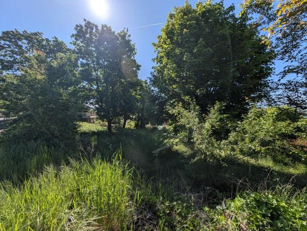 Vente / Terrain constructible
