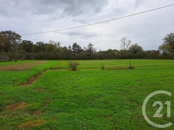 Maison à vendre  5 pièces - 179,08 m2 LURCY LEVIS - 03