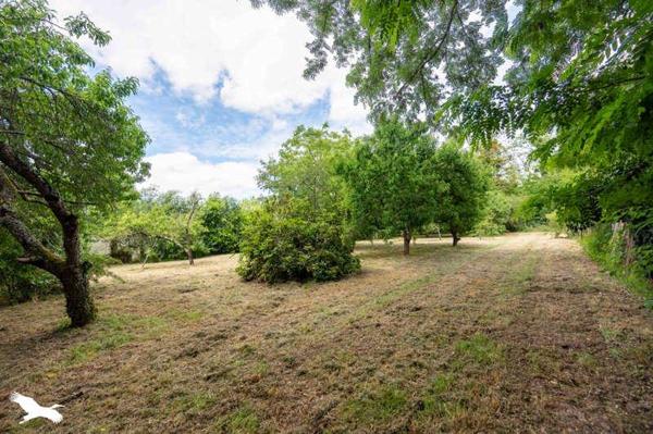 Maison à vendre 171 359 € Allouis 5 p 127 m² DPE C