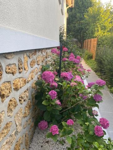 Maison Traditionnelle 5 pièces avec piscine