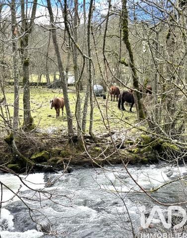 Maison à vendre 5 pièces 125 m² Roffiac