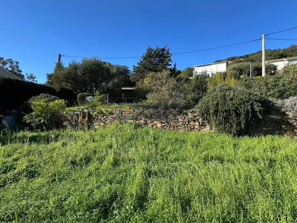 Vente Terrain 780 m2 à Brando
