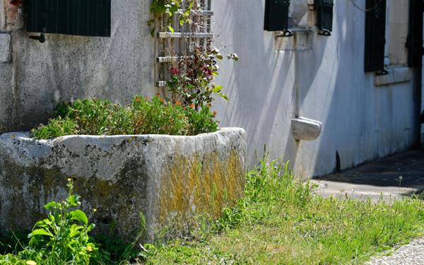 Maison à vendre    12 pièces • 425 m2 Angliers