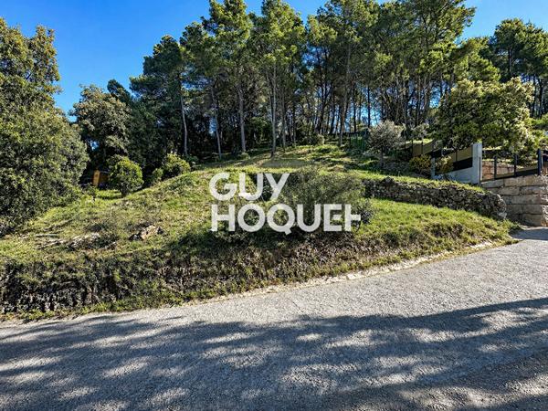 Terrain 2006 m2 Constructible -Pégomas