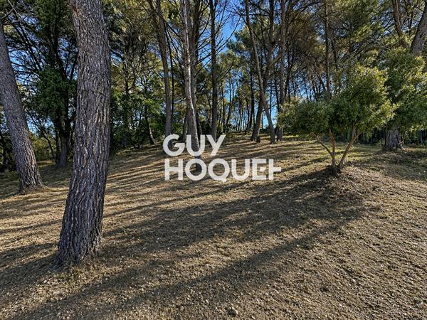 Terrain 2006 m2 Constructible -Pégomas