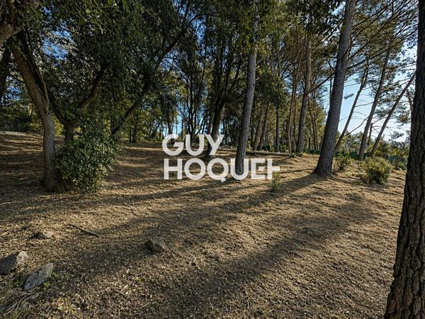 Terrain 2006 m2 Constructible -Pégomas