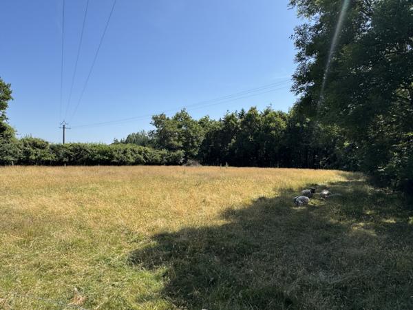 Le Girouard (85150) Maison 3 chambres de 137 m2 habitables sur 5520 m2 de terrain