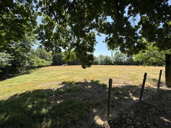 Le Girouard (85150) Maison 3 chambres de 137 m2 habitables sur 5520 m2 de terrain