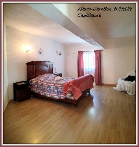 Indre (36),aux portes de la touraine, LUCAY LE MALE maison 450 m² jardin de 4 482,00 m²