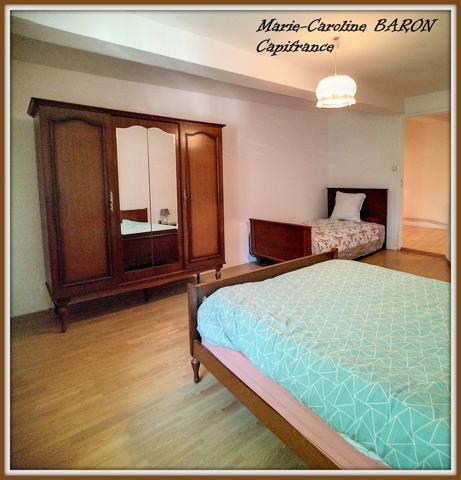 Indre (36),aux portes de la touraine, LUCAY LE MALE maison 450 m² jardin de 4 482,00 m²