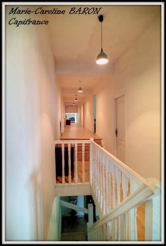 Indre (36),aux portes de la touraine, LUCAY LE MALE maison 450 m² jardin de 4 482,00 m²