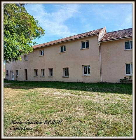 Indre (36),aux portes de la touraine, LUCAY LE MALE maison 450 m² jardin de 4 482,00 m²