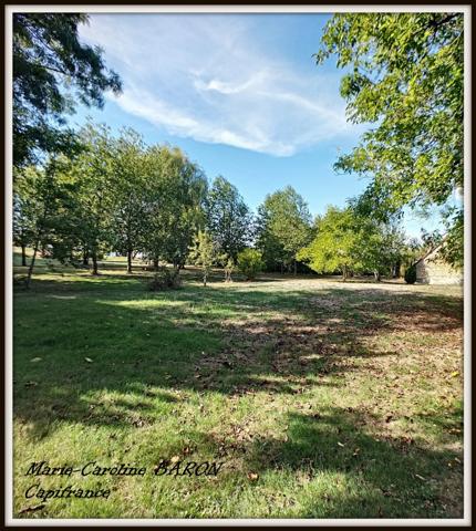 Indre (36),aux portes de la touraine, LUCAY LE MALE maison 450 m² jardin de 4 482,00 m²