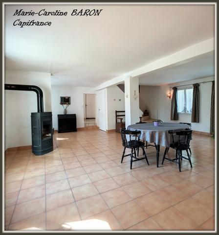 Indre (36),aux portes de la touraine, LUCAY LE MALE maison 450 m² jardin de 4 482,00 m²