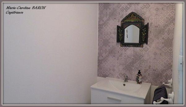 Indre (36),aux portes de la touraine, LUCAY LE MALE maison 450 m² jardin de 4 482,00 m²