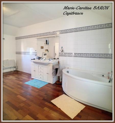 Indre (36),aux portes de la touraine, LUCAY LE MALE maison 450 m² jardin de 4 482,00 m²