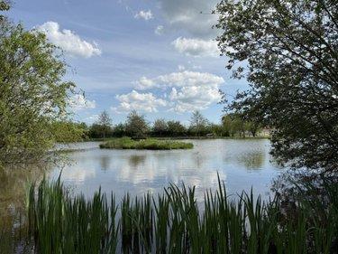 Terrain de loisirs - Bois - Etang à vendre à Beaupréau-en-Mauges dans le Maine-et-Loire (49600), ref : 49058-1521