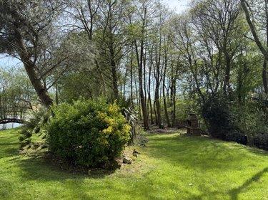 Terrain de loisirs - Bois - Etang à vendre à Beaupréau-en-Mauges dans le Maine-et-Loire (49600), ref : 49058-1521