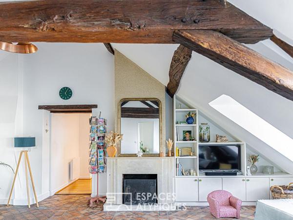 Appartement en duplex vue Loire