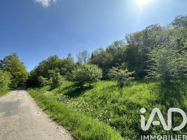 Terrain à vendre 5 385 m² Bourg-Bruche