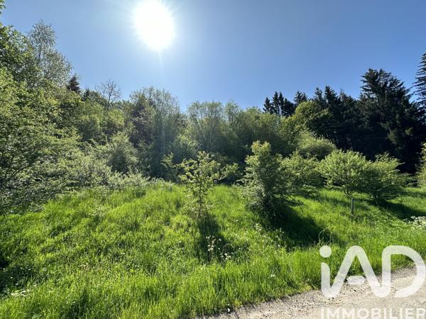 Terrain à vendre 5 385 m² Bourg-Bruche