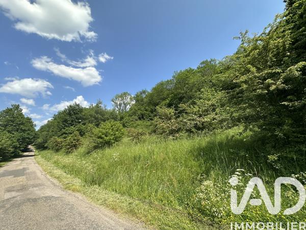 Terrain à vendre 5 385 m² Bourg-Bruche