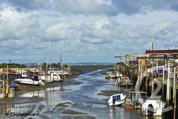 Terrain à vendre  720 m2 LA TESTE DE BUCH - 33