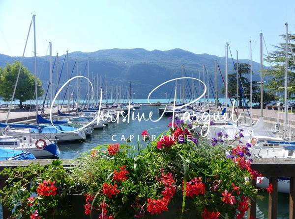 Appartement d'exception 2 pièces - 61m2 - Terrasse 42m2 à vendre Lac-AIX LES BAINS (73)