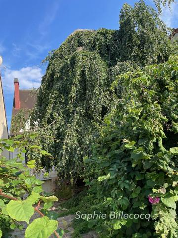 Maison à vendre 8 pièces SAINT PRIX (95) - Terrain 3 500 m2