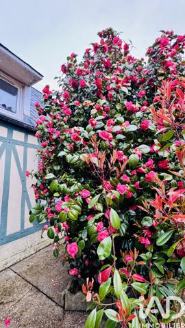 Maison à vendre 4 pièces 118 m² Criquebeuf-en-Caux