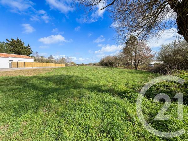 Terrain à vendre  1784 m2 CHATEAU D OLONNE - 85