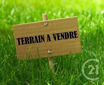 Terrain à vendre  1023 m2 STE CROIX SUR MER - 14