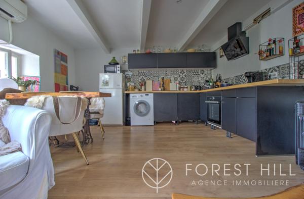 Céret (66400) Appartement centre ville