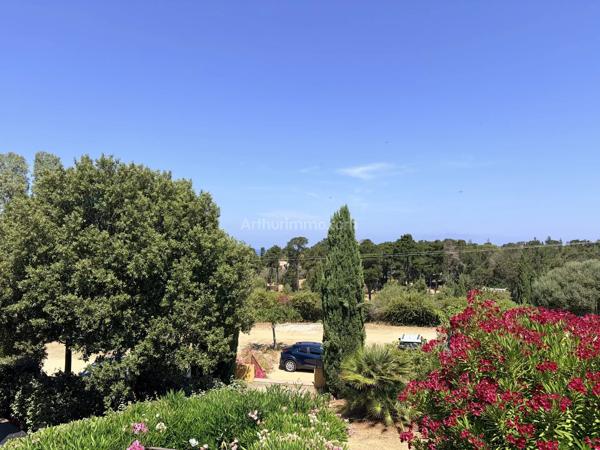 Vente                                                      Appartement
                        
                     3 pièces                      41 m2                     à L'Île-Rousse
