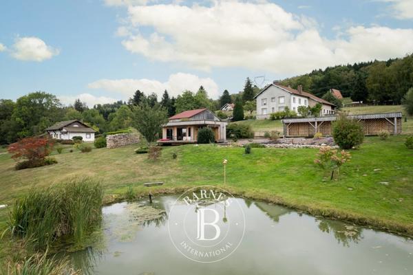 Anould, Ensemble immobilier   à vendre